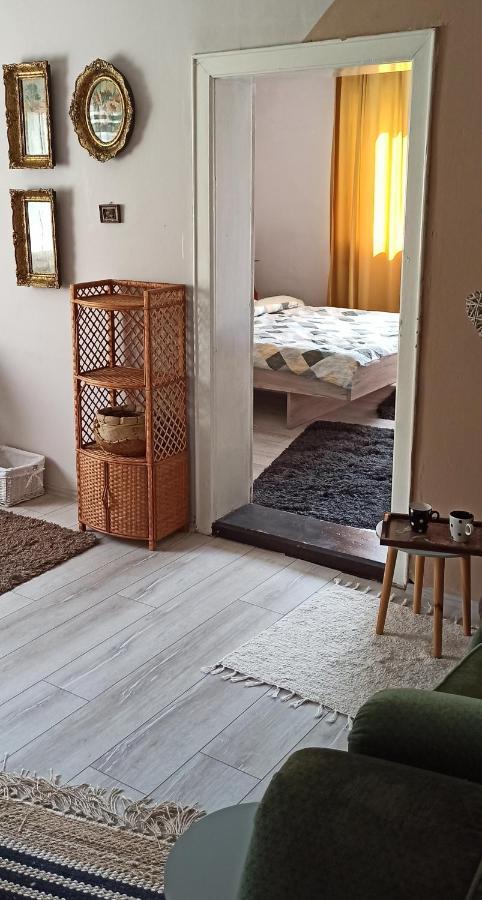 Kuca Despot Apartment Kremna Cameră foto